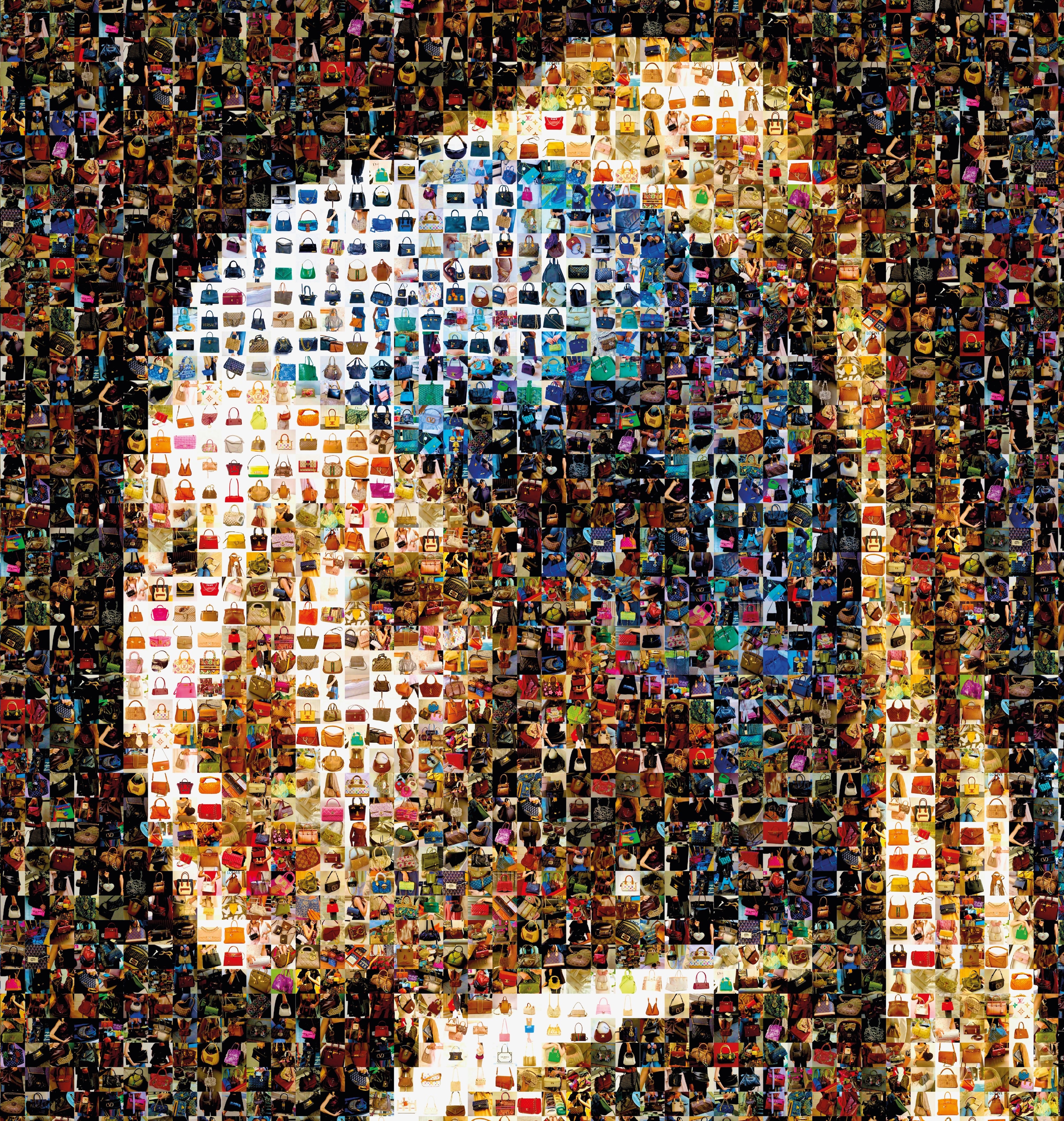 Fille à la perle VS Luxury Handbags