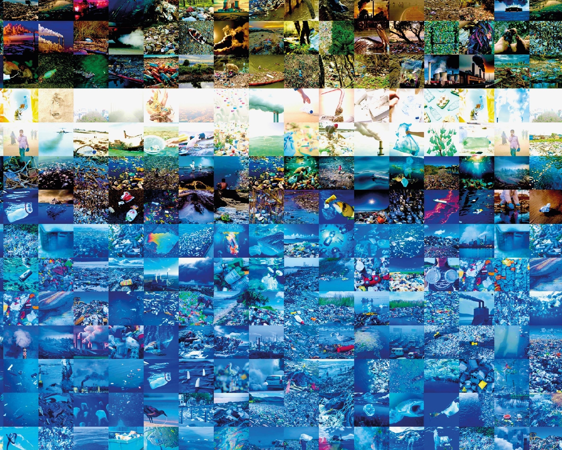 Portrait of an Artist vs Pollution