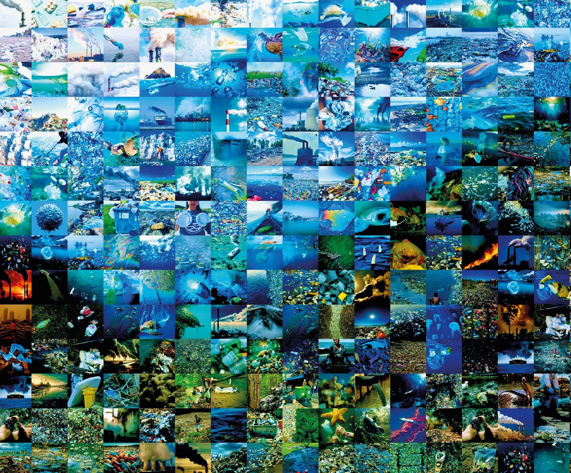 Portrait of an Artist vs Pollution